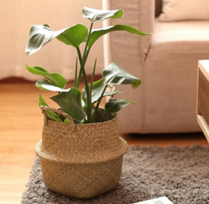 Storage Baskets Foldable